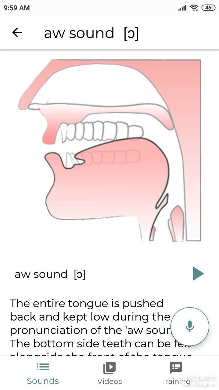 分享一款好用的谷歌原版美语音标软件——English Sounds